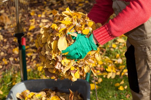 A person wearing bright pink gloves is collecting a large bundle of fallen autumn leaves, consisting of yellow, brown, and orange foliage, in a garden or outdoor area. The individual is dressed in dark trousers and a light grey jacket, with the leaves held roughly at waist height. The pile of leaves is being prepared for disposal or collection, and a wheelbarrow with more accumulated leaves is visible in the foreground. The background includes a patch of green grass and some blurred plant foliage, indicating the scene takes place in a garden setting during autumn. The image relates to rubbish collection, similar to services provided by Commercial Waste Removal Archway in the London area, serving local property owners and businesses needing waste clearance.